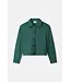Iris pine jacket