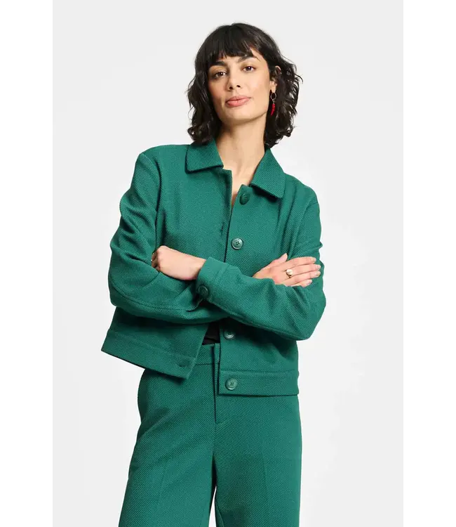 Iris pine jacket