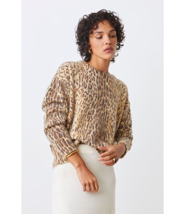 Pleoli pullover