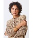 Pleoli pullover