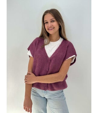 Bonita Avenue Knits Feliz - Mulberry