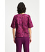 Dashing plum top