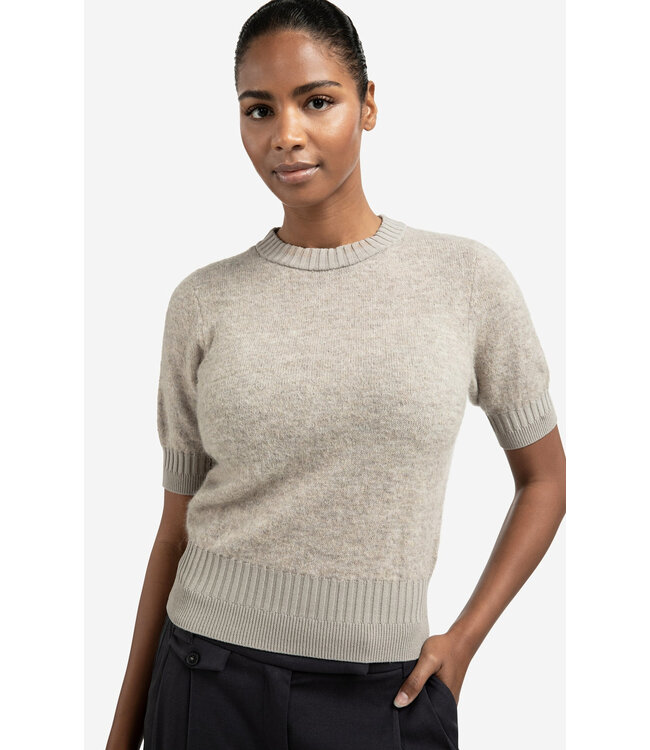 Short sleeve knit with rib detail