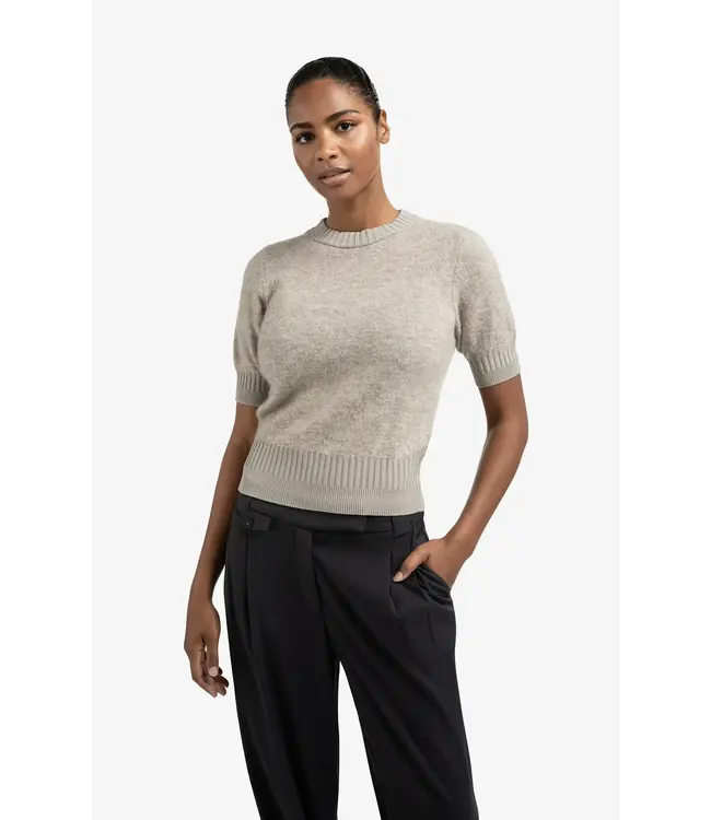 Short sleeve knit with rib detail