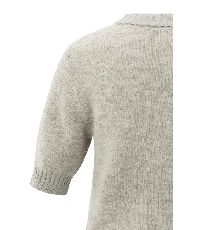 Short sleeve knit with rib detail