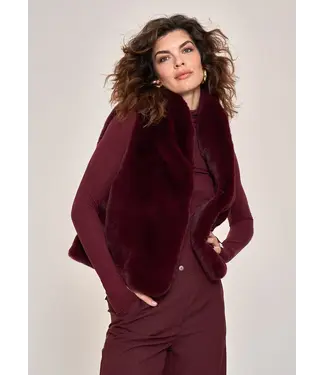 Simple Zanesse gilet