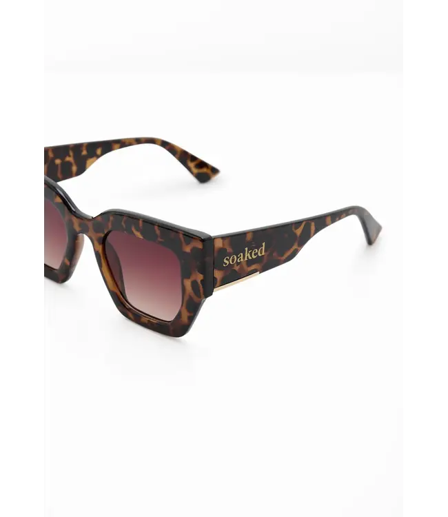 Chase sunglasses - Havana
