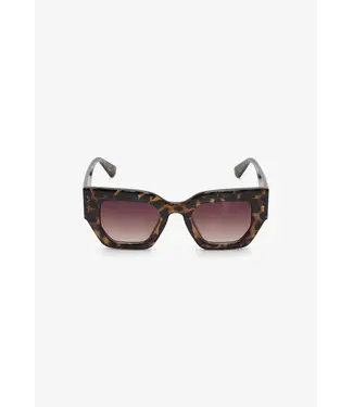 Soaked in Luxury Chase sunglass - Havana