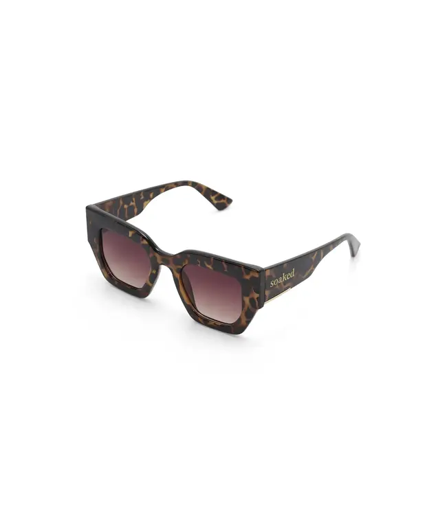 Chase sunglass - Havana