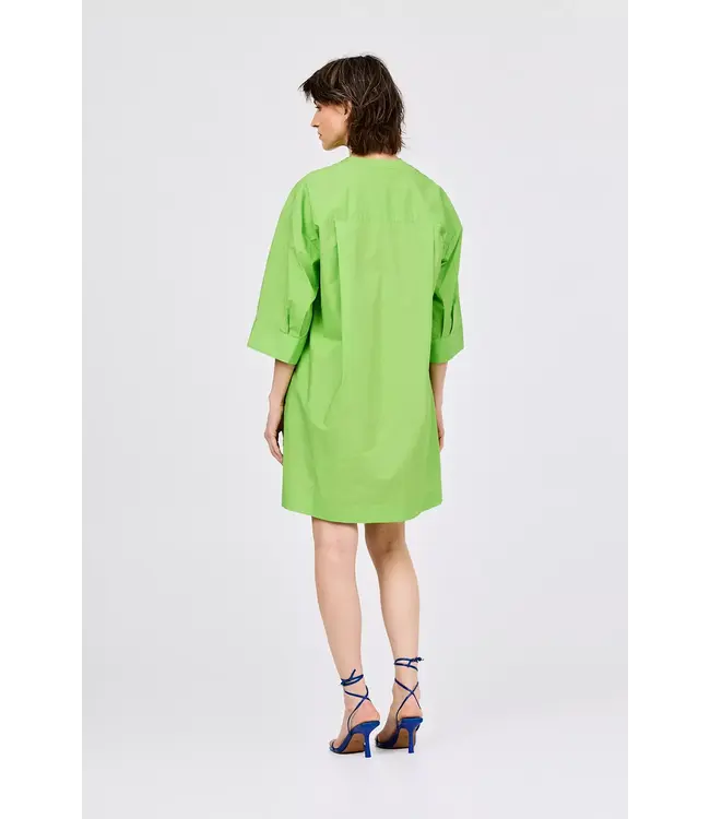 Drew dress - Groen
