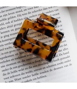 Clips Clips - Lola Bruin