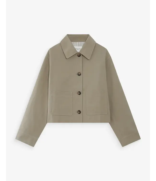 Veronica jacket - Sauge