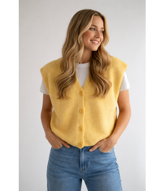 Bonita Avenue Knits Feliz - Marigold