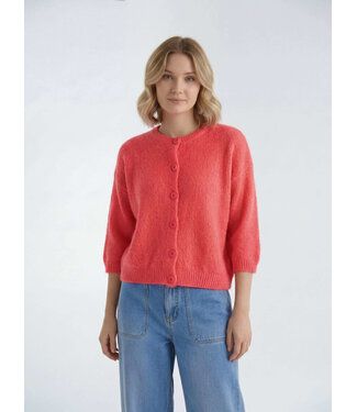 Bonita Avenue Knits Davina - Scarlet