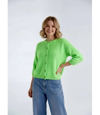 Bonita Avenue Knits Davina - Acid green