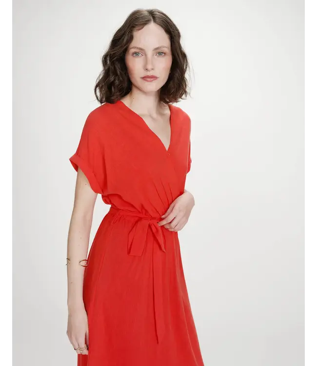 Pollen dress - Sanguine