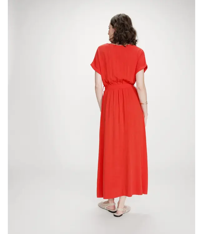 Pollen dress - Sanguine