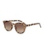 Cansa sunglasses