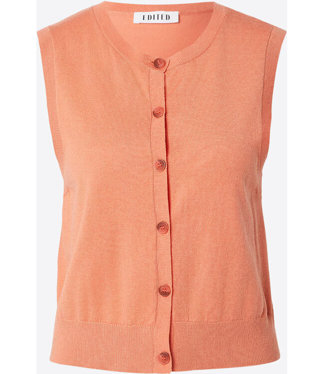 Alisha vest knit