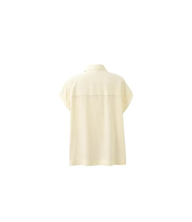 Brizea top