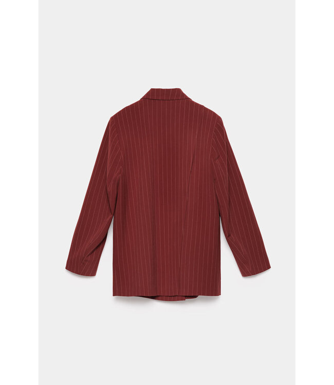 Cruise blazer