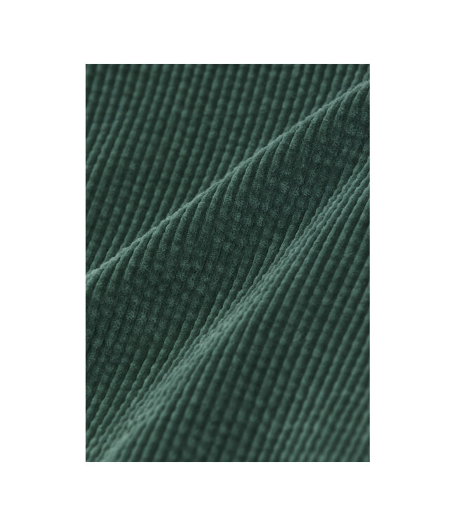 Velours pantalon