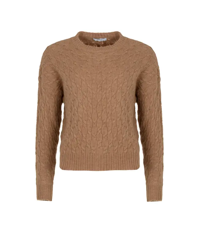 Bacci knit