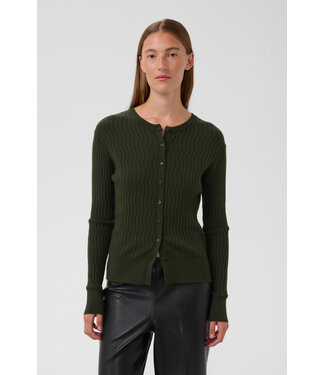 Soaked in Luxury Spina zig zag cardigan