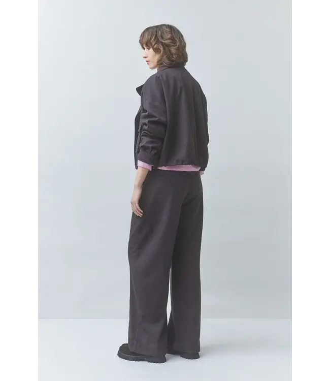 Dollar veste