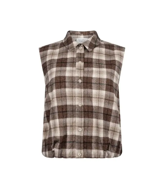 Isabeau check shirt