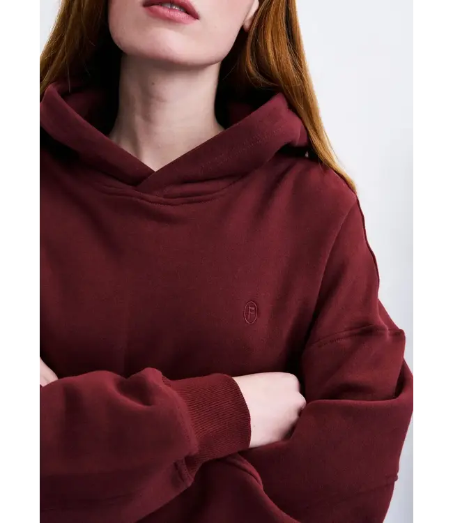 Fuji sweatshirt
