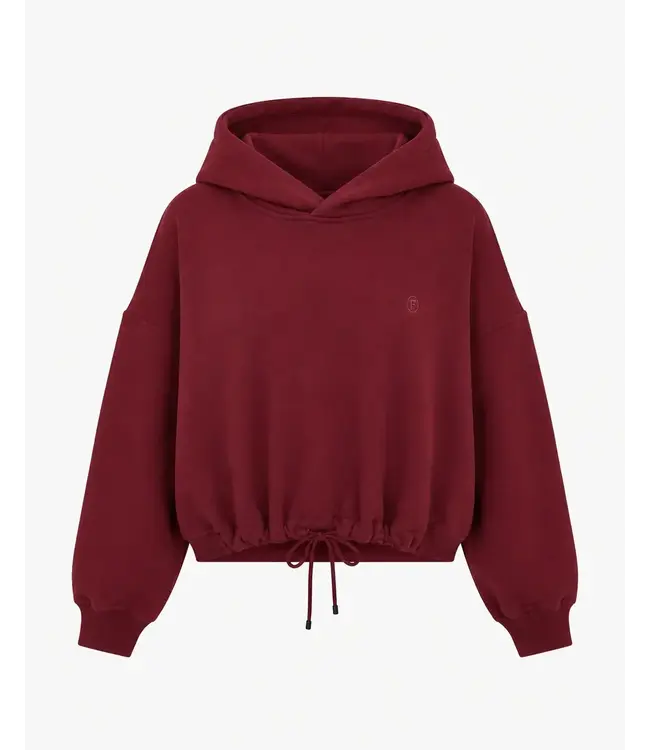 Fuji sweatshirt