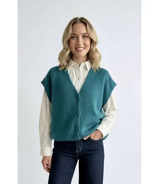 Bonita Avenue Knits Feliz - Shaded Spruce