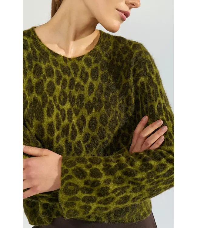 Riette leo pullover