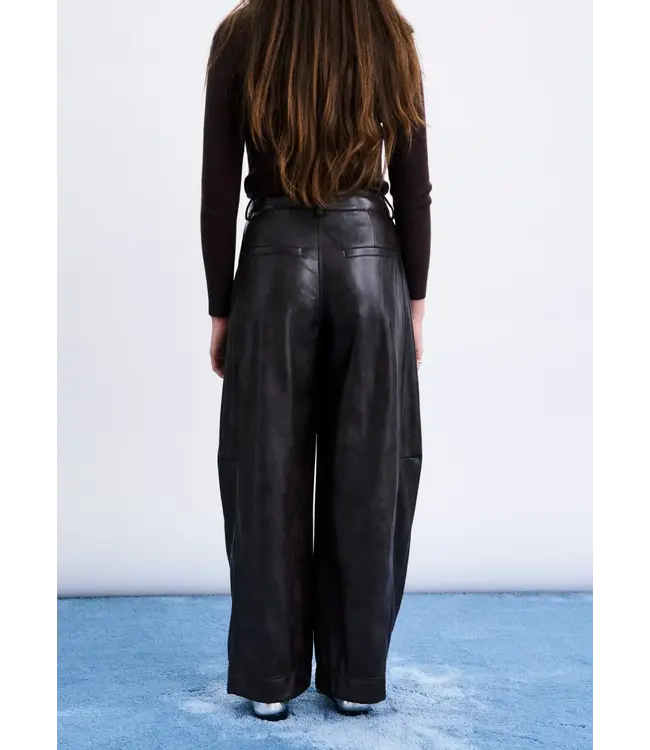 Nemea leather pants