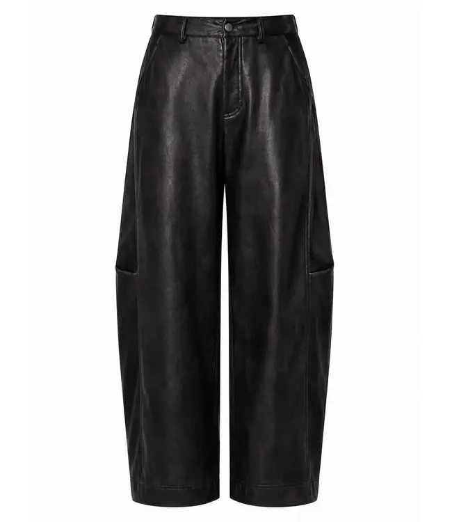 Nemea leather pants
