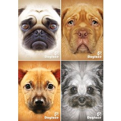 Dogface - miniposter A4