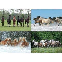 Rennende paarden - miniposter A4
