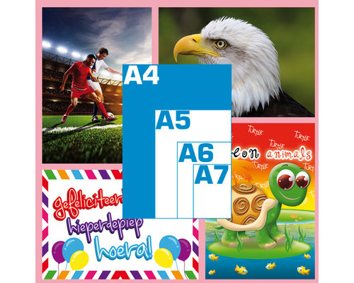 (A4) Miniposters