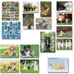Stammetjes Beloningssysteem dieren