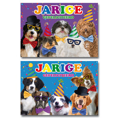 Honden met felicitatie - miniposter A4