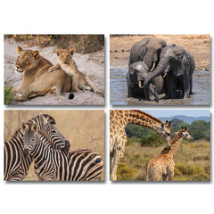 Wild met jong - miniposter A4