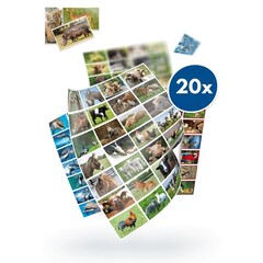 Stammetjes Dieren stickerpakket