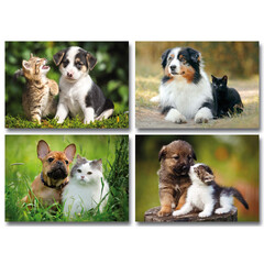 Hond en poes kaarten A4