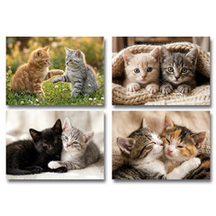 Kittens  kaarten A7