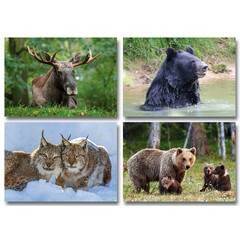 Noord Europees wild - miniposter A4