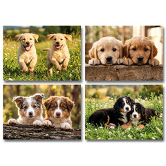 Honden - miniposter A4