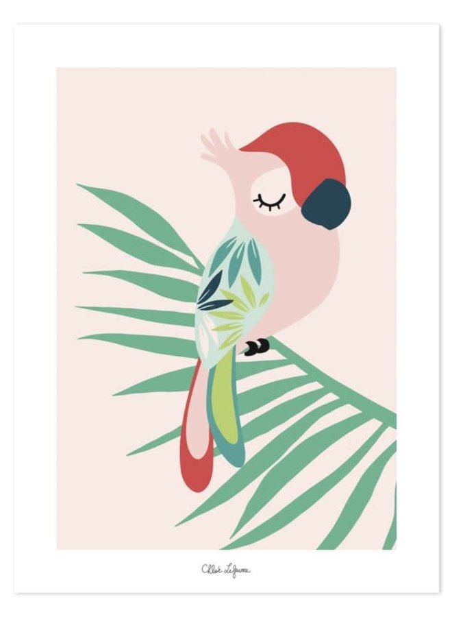 voor mij musical Transparant Kader met poster papegaai roze - Rascals in Eden