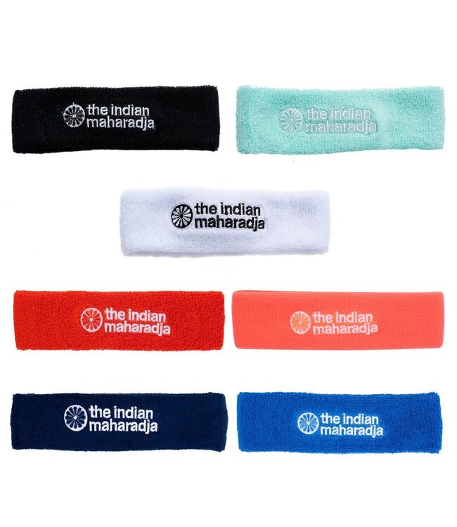 Indian Maharadja Headband Mint