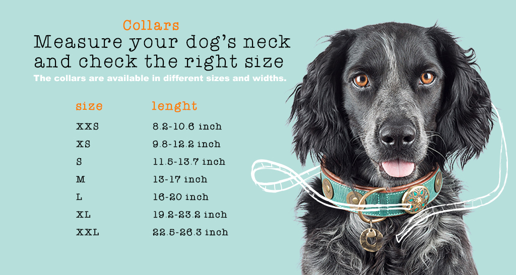 Dog Collar Size Chart In Inches